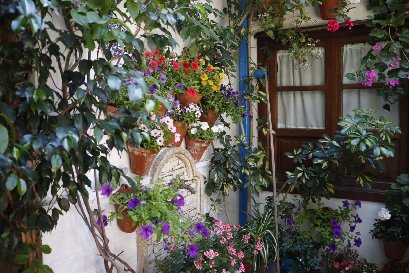 Ruta de los patios de San Lorenzo