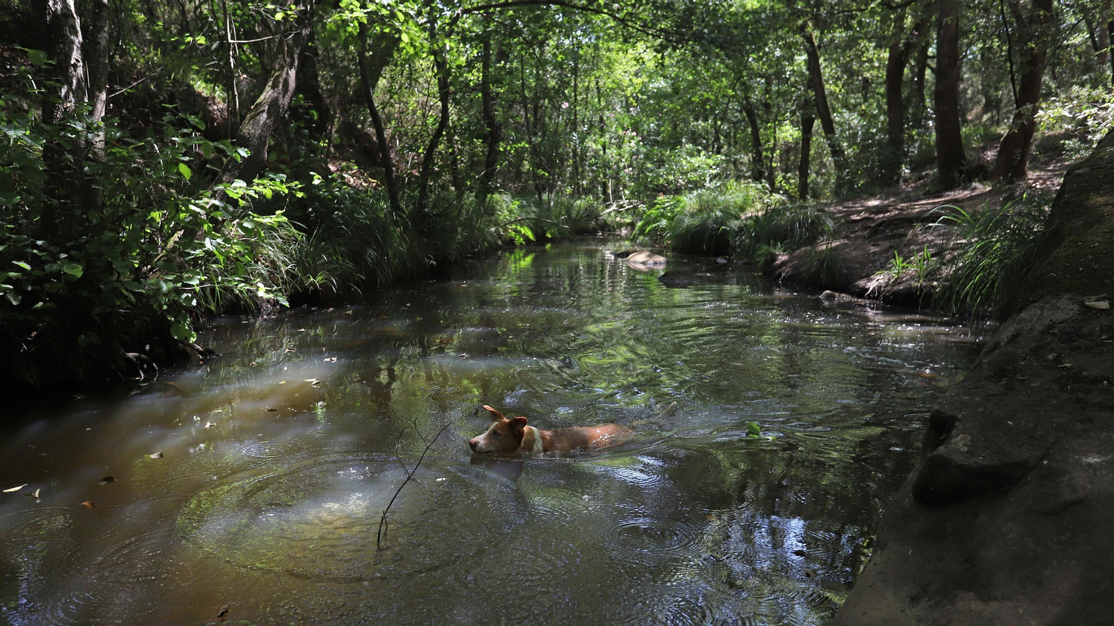 Las mejores fotos de la Montera del Torero y Valdeinfierno