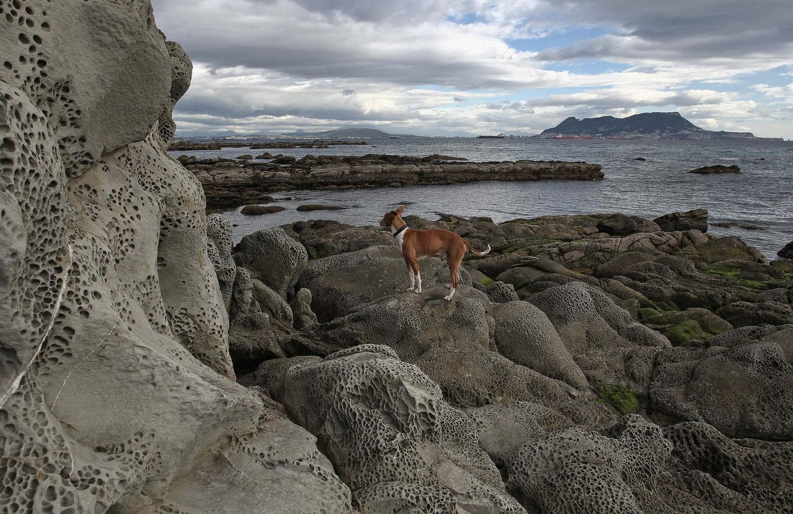 Los flysch del Campo de Gibraltar, en imágenes