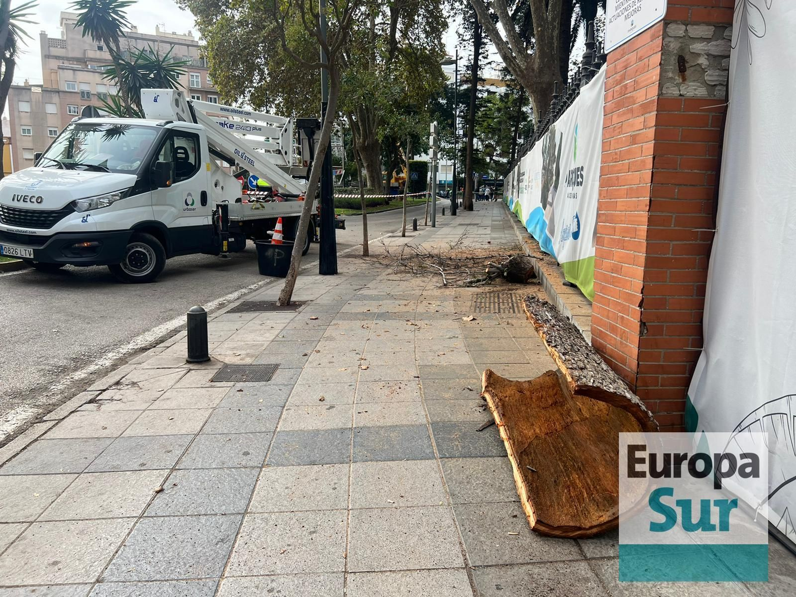 Retirada de los últimos árboles en mal estado en el parque María Cristina