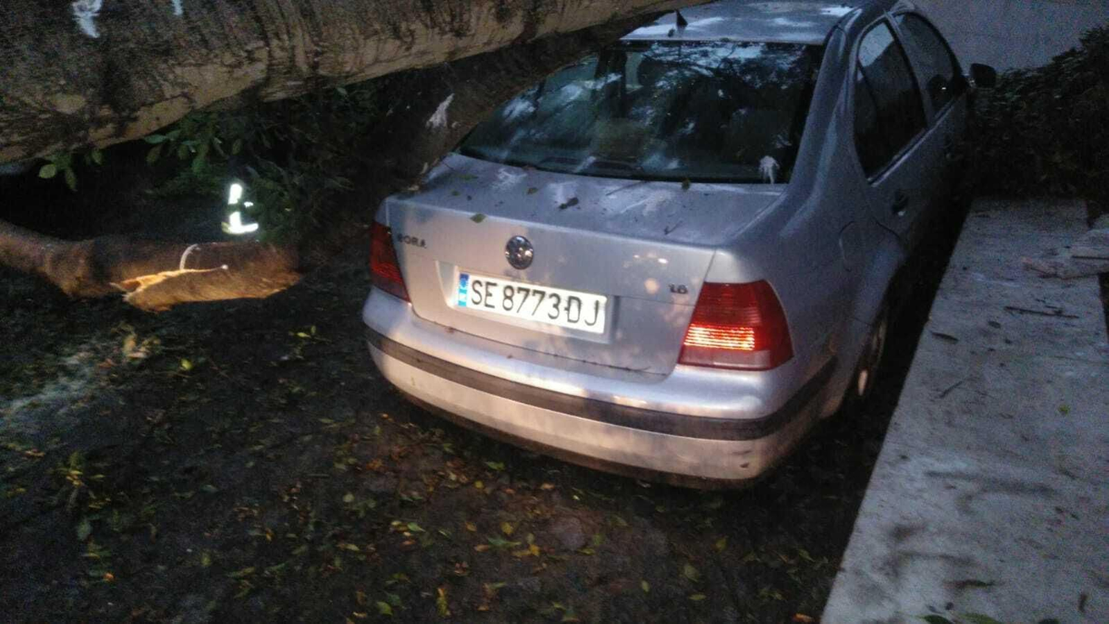 Los efectos de la tormenta en Málaga capital