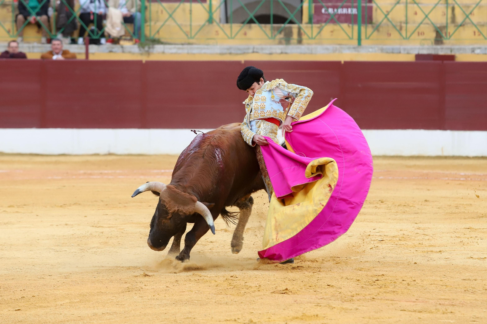 Imágenes de la novillada previa a la Semana Santa en la plaza de toros de La Línea