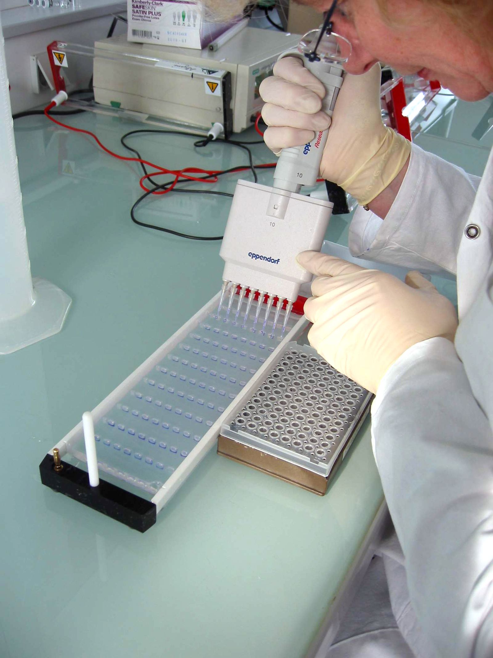 Trabajos de investigación en mejora vegetal