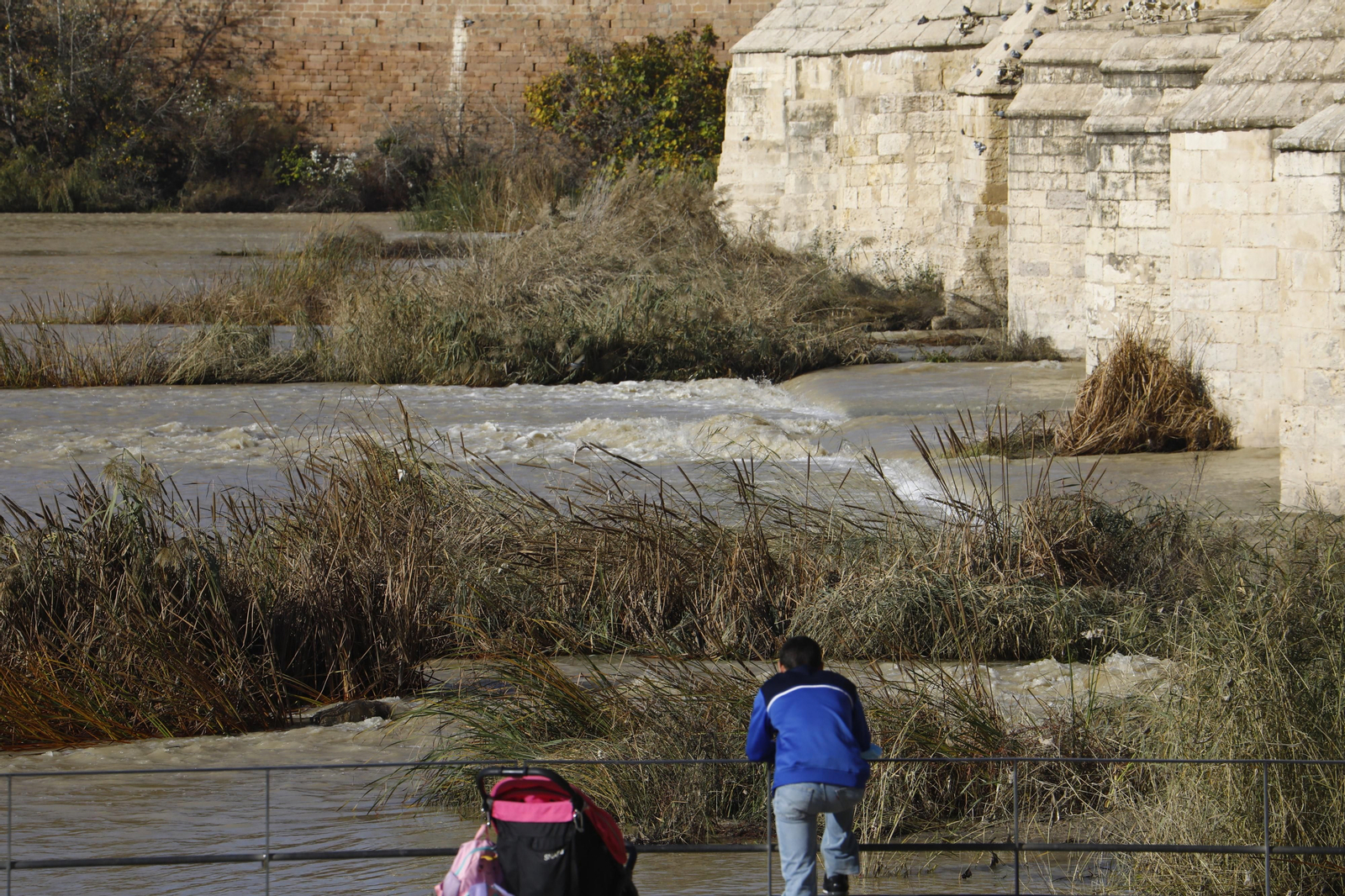 El caudal del río Guadalquivir recupera la normalidad en Córdoba, en imágenes