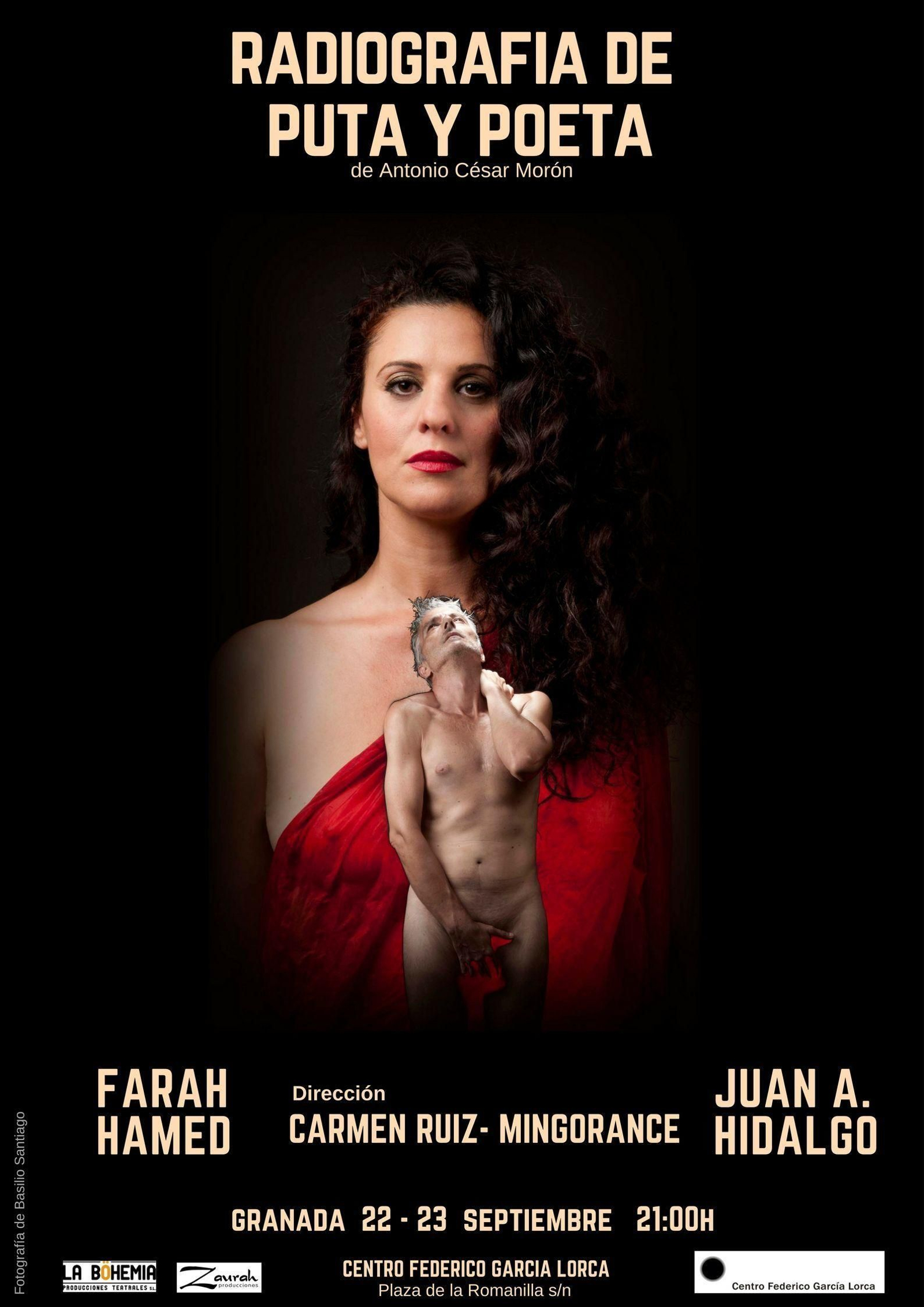 El montaje fotográfico del cartel de la obra.