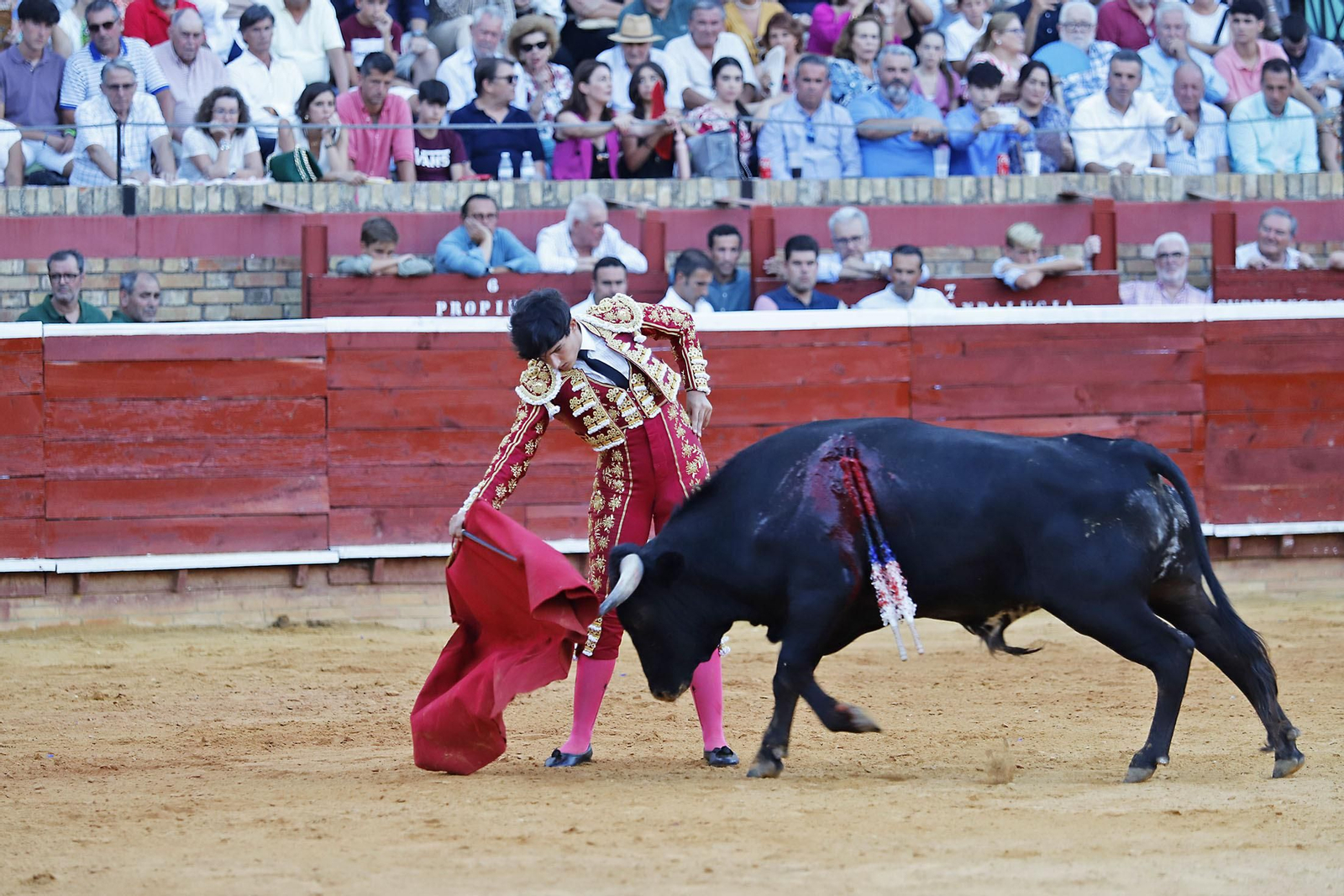 COLOMBINAS 2023: Festejo del miércoles de la Feria Taurina
