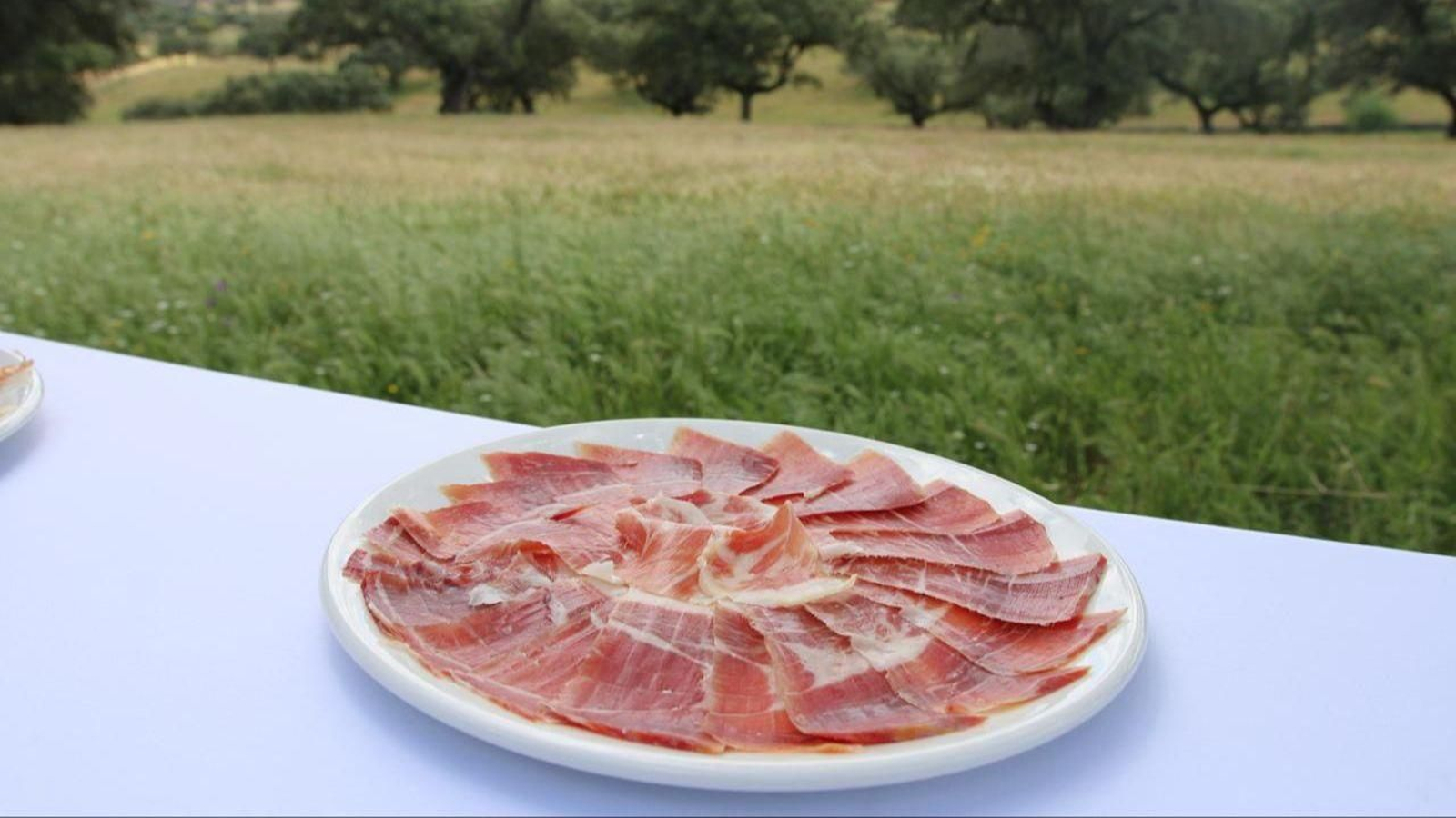 Jamón ibérico: La nueva mirada hacia un icono gastronómico que evoluciona sin perder su alma