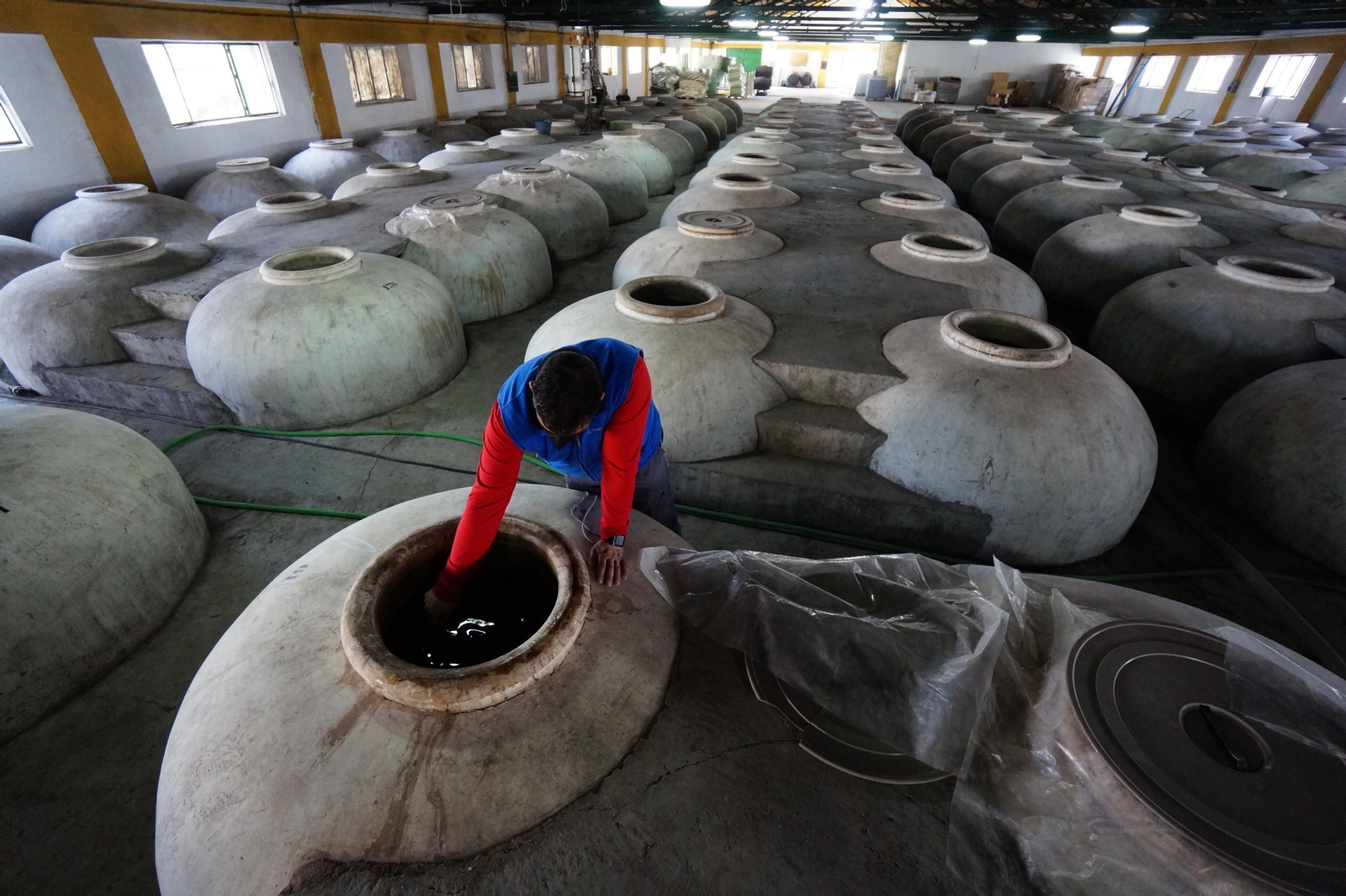 Cooperativa Vitivinícola Nuestra Señora del Rosario.