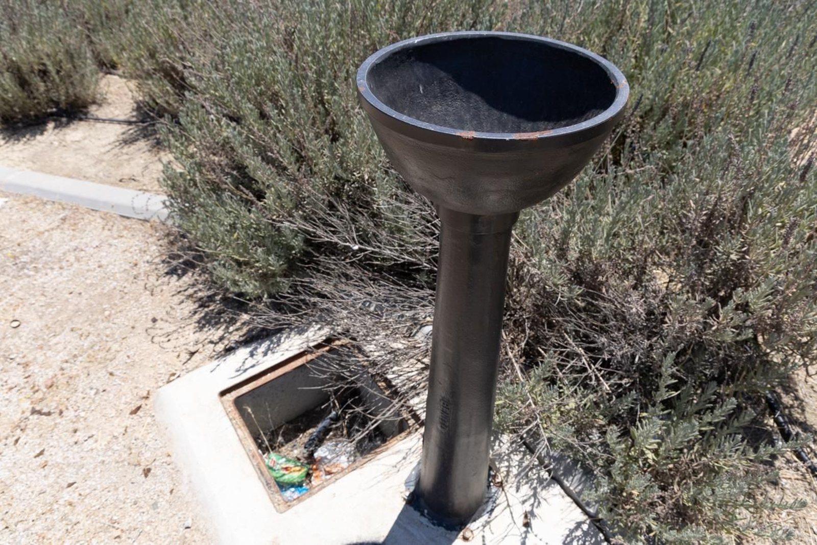 El estado de abandono del parque infantil del Jaén Plaza, en imágenes