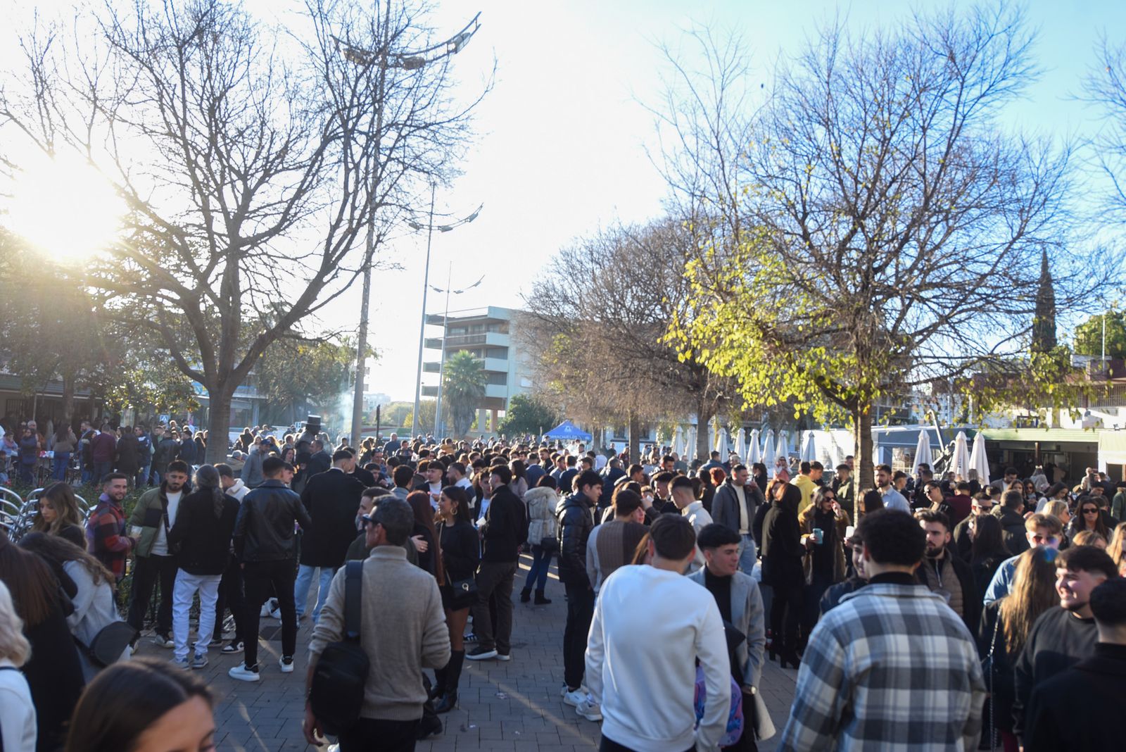 La Tardevieja en Córdoba para despedir 2025, en imágenes