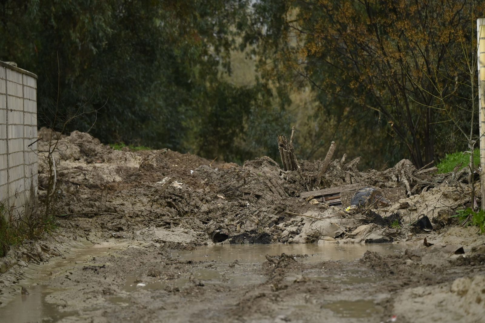 Parcelas de Guadalvalle siguen anegadas por el barro un mes después de las inundaciones
