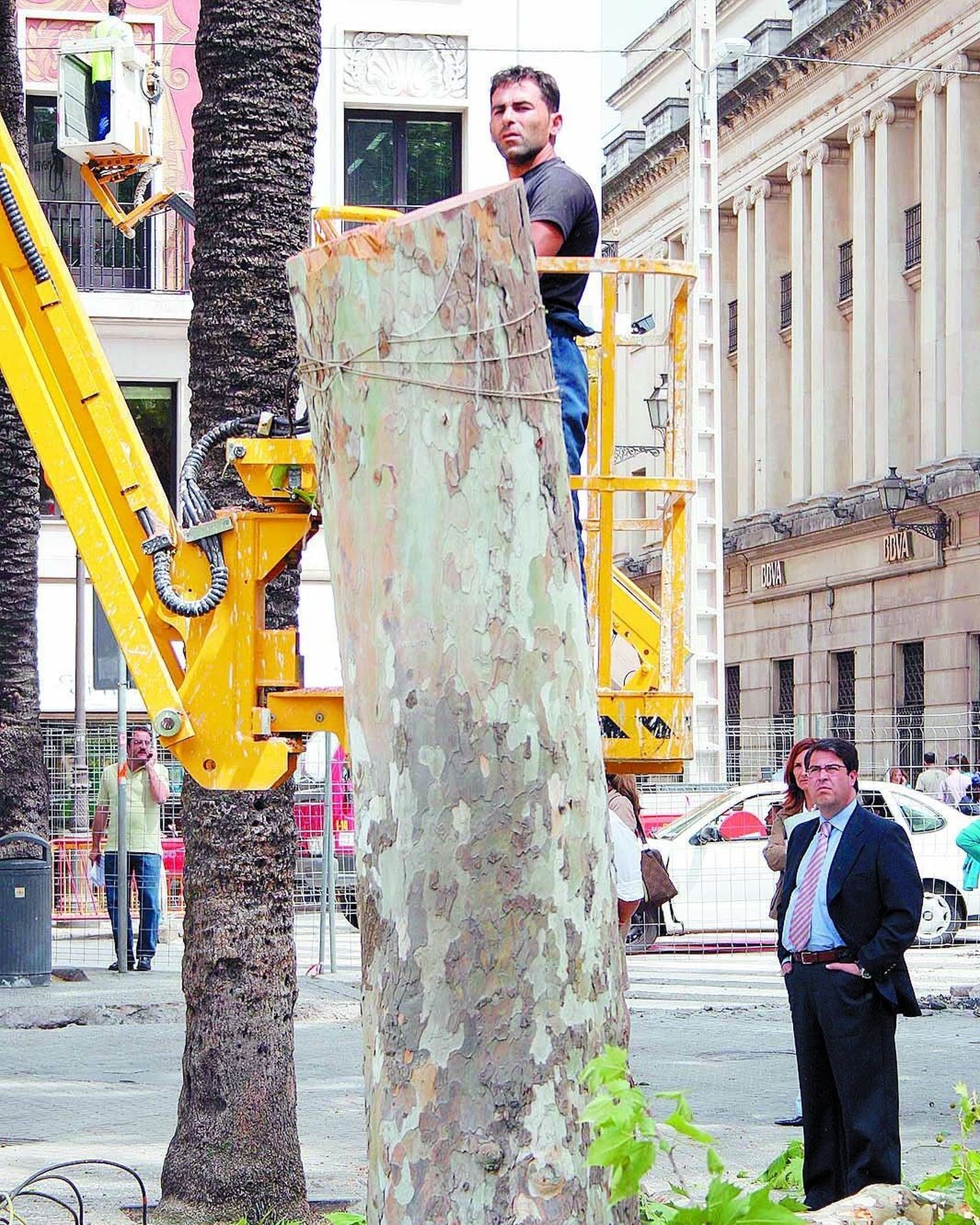 Ediles de PP observan la tala de árboles en la Plaza Nueva. Mayo de 2006.