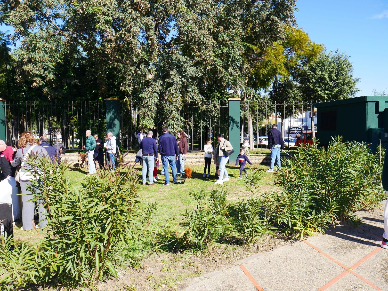 El San Antón de Camposoto de San Fernando en imágenes