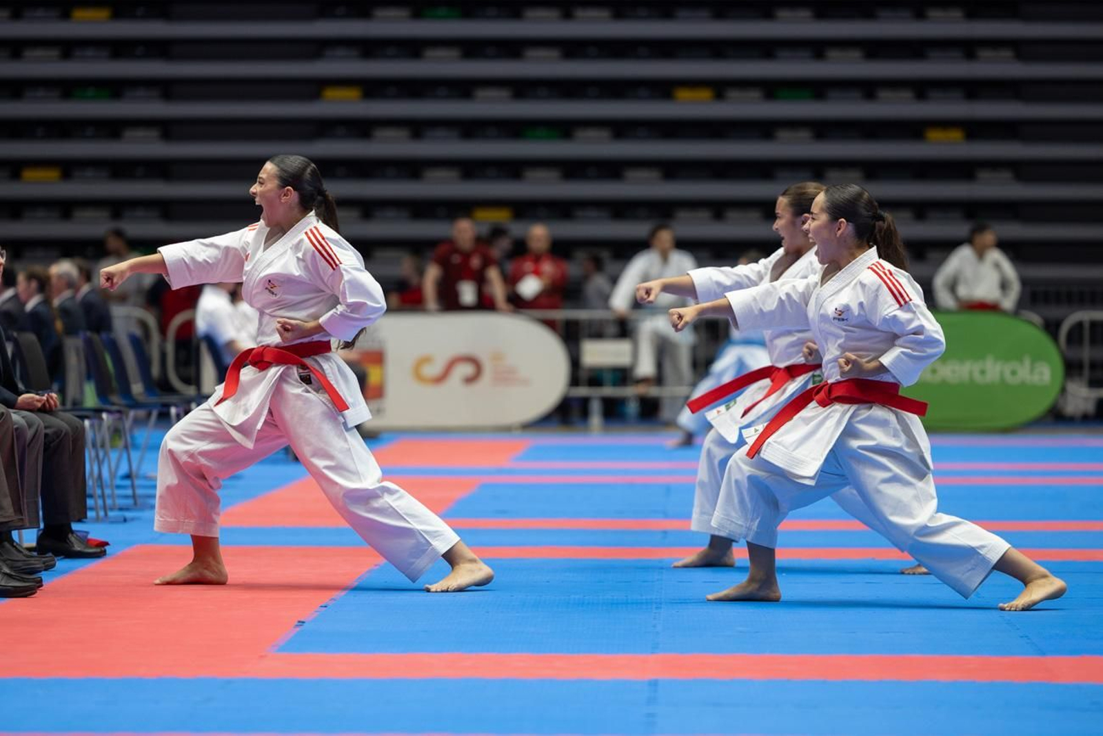 Campeonato de España de Kárate cadete, júnior y sub 21 brilla en Jaén