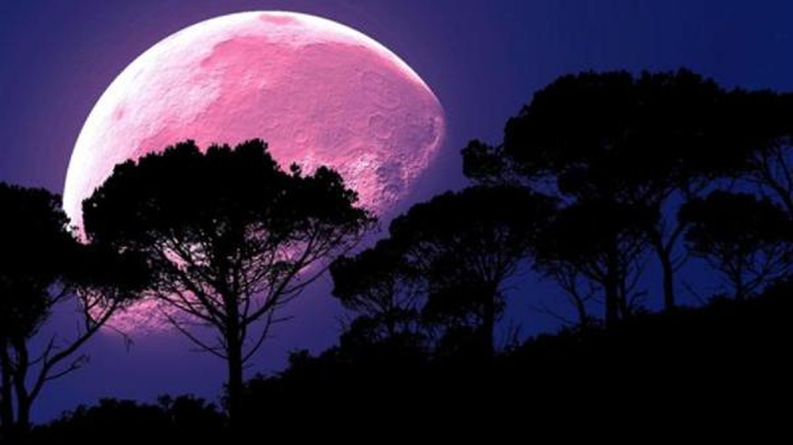 La Superluna de Fresa aparecerá en nuestros cielos a las 13:52 horas