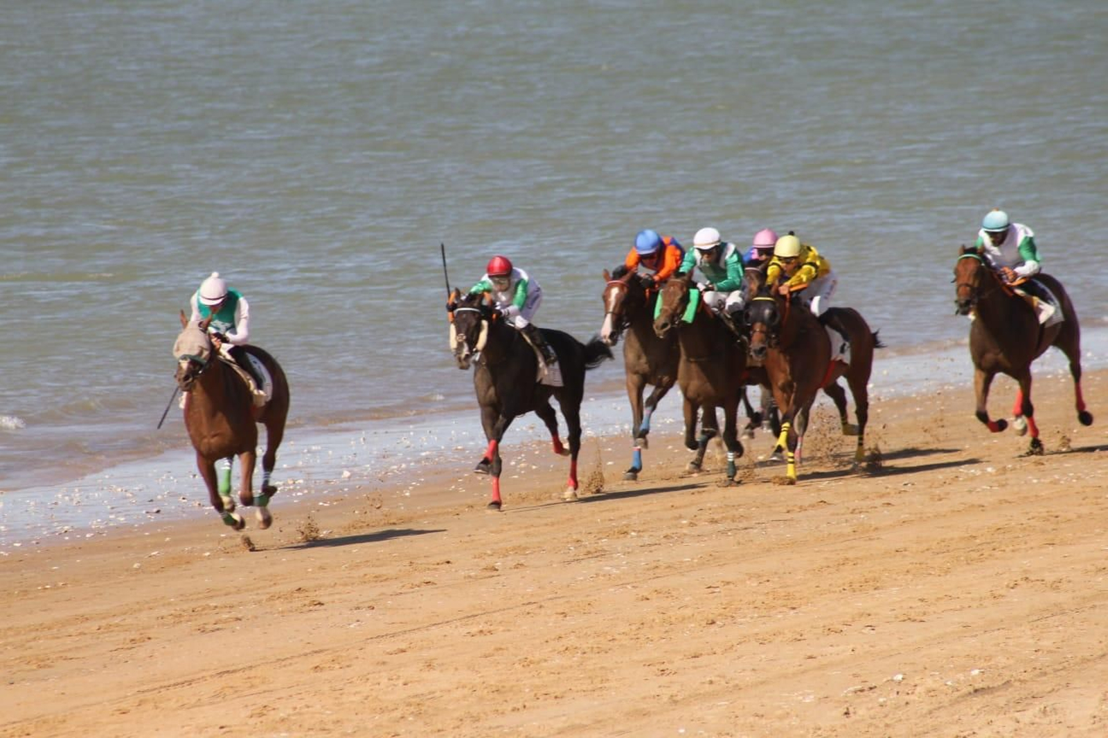 Imágenes del tercer día de las Carreras de Caballos de Sanlúcar.