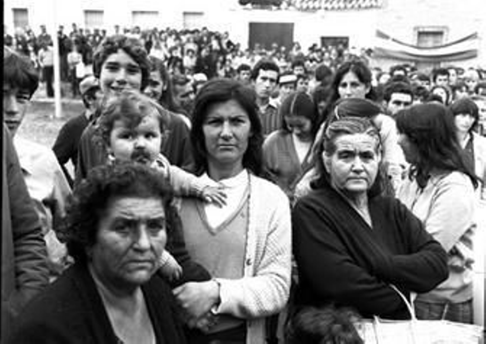 La semilla del electricista