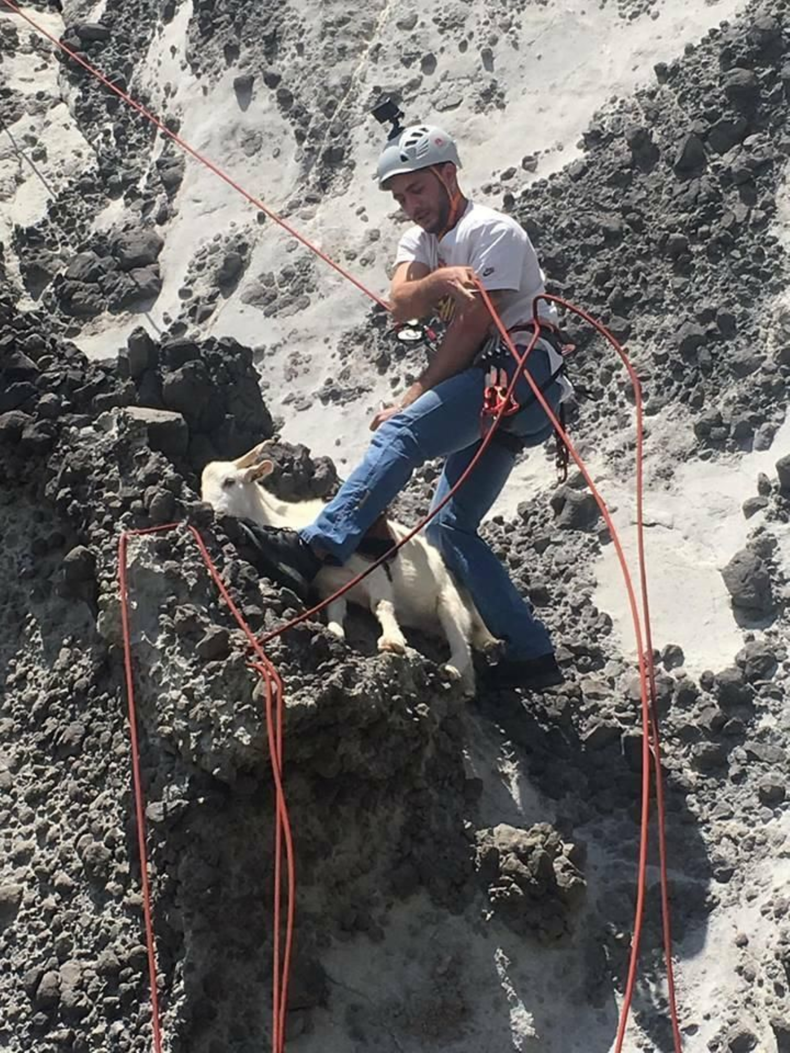 Alejandro rescata al animal.