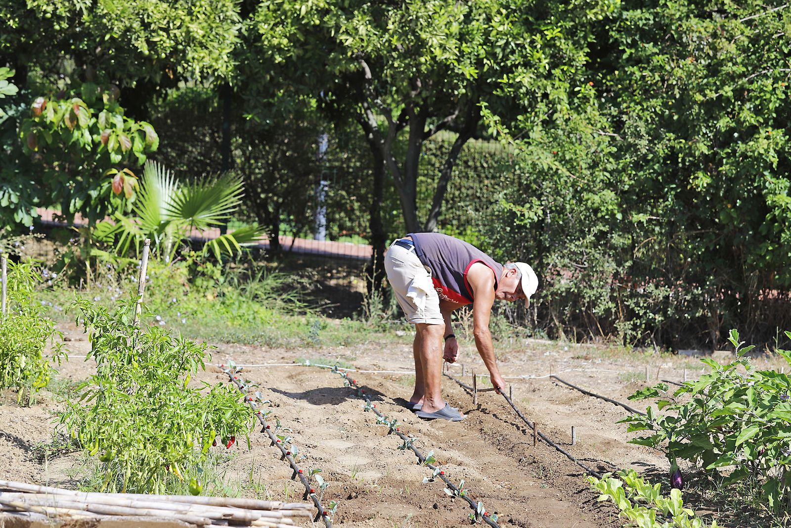 Las imágenes más destacadas del jueves 14 de septiembre en Huelva
