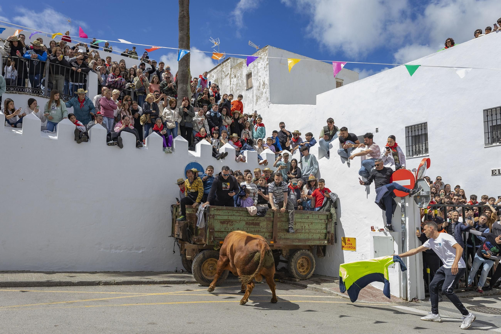 Las imágenes del Toro Embolao de Vejer 2025