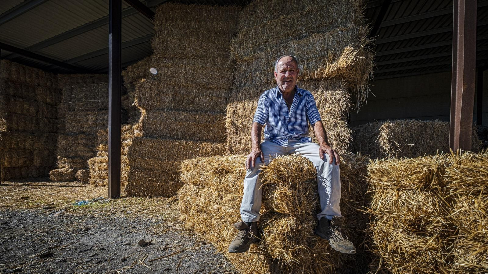 Paco Romero posa sentado en unas alpacas de paja en la nave de su finca.