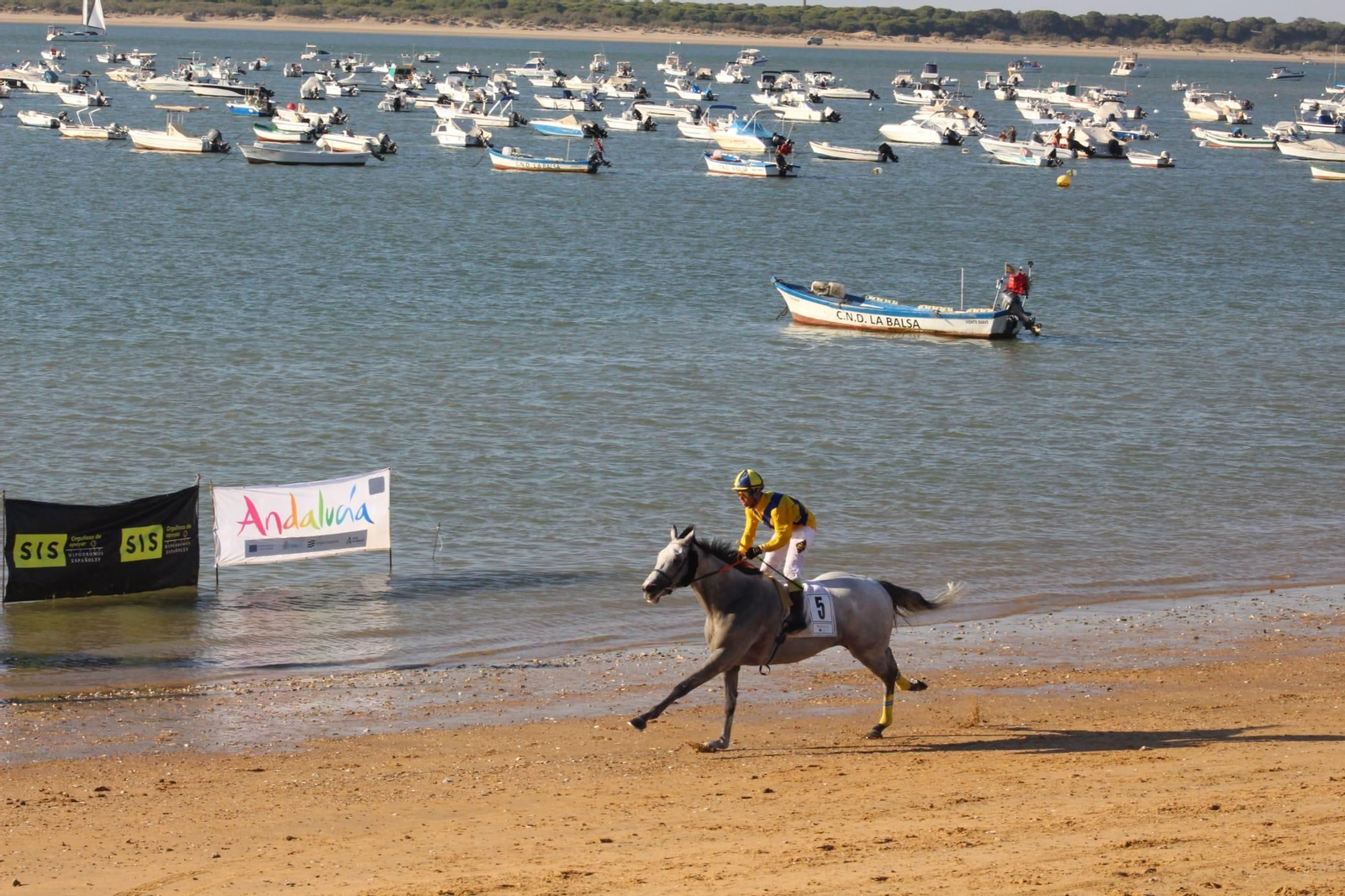 Imágenes del segundo día de Carreras de Caballos de Sanlúcar Imágenes del segundo día de Carreras de Caballos de Sanlúcar