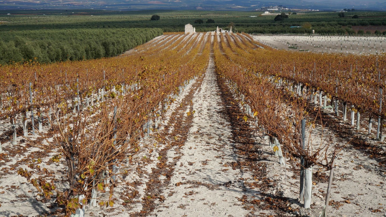 Paisaje en la A-3132.