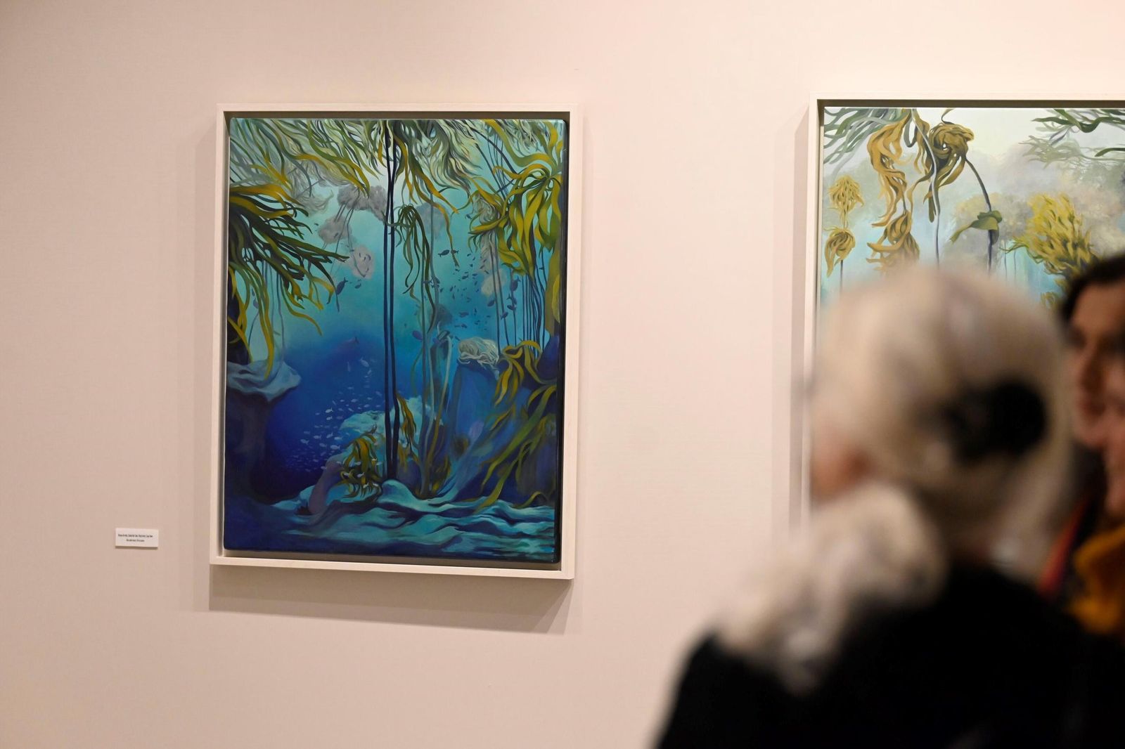 En fotos, la exposición que te llevará hasta el fondo del mar sin moverte de Córdoba