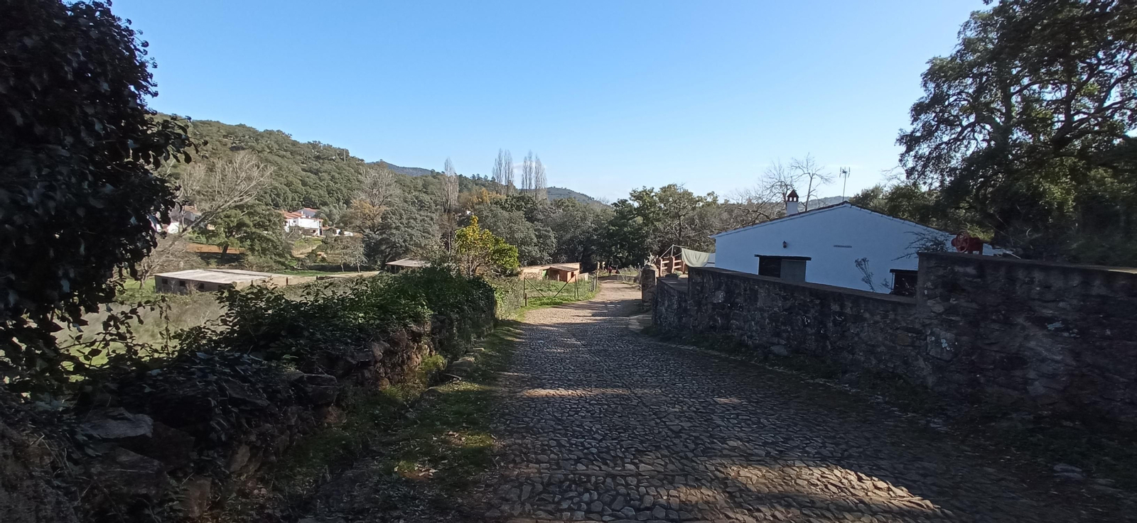 Las imágenes de la ruta de la cascada de Jollarancos y bosque de las letras