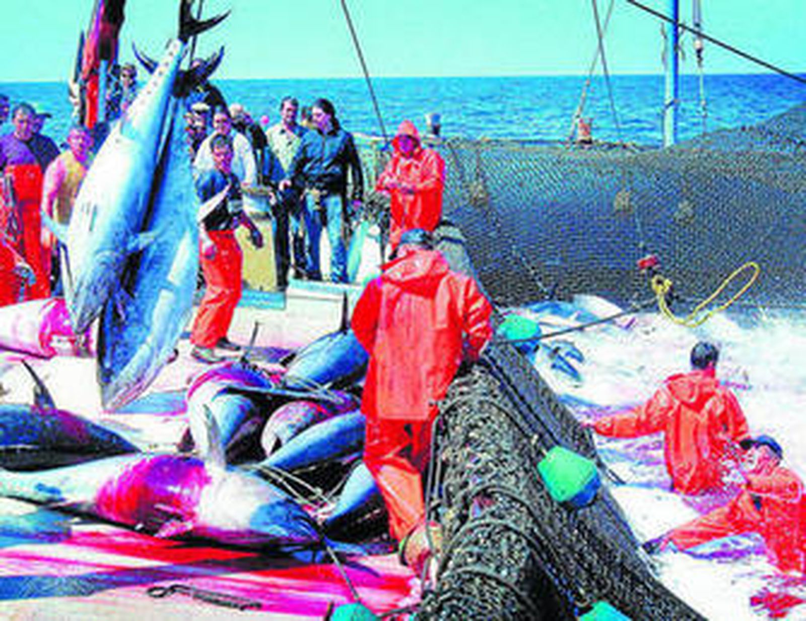 Trabajos en la almadraba de Barbate, en una fotografía de archivo.
