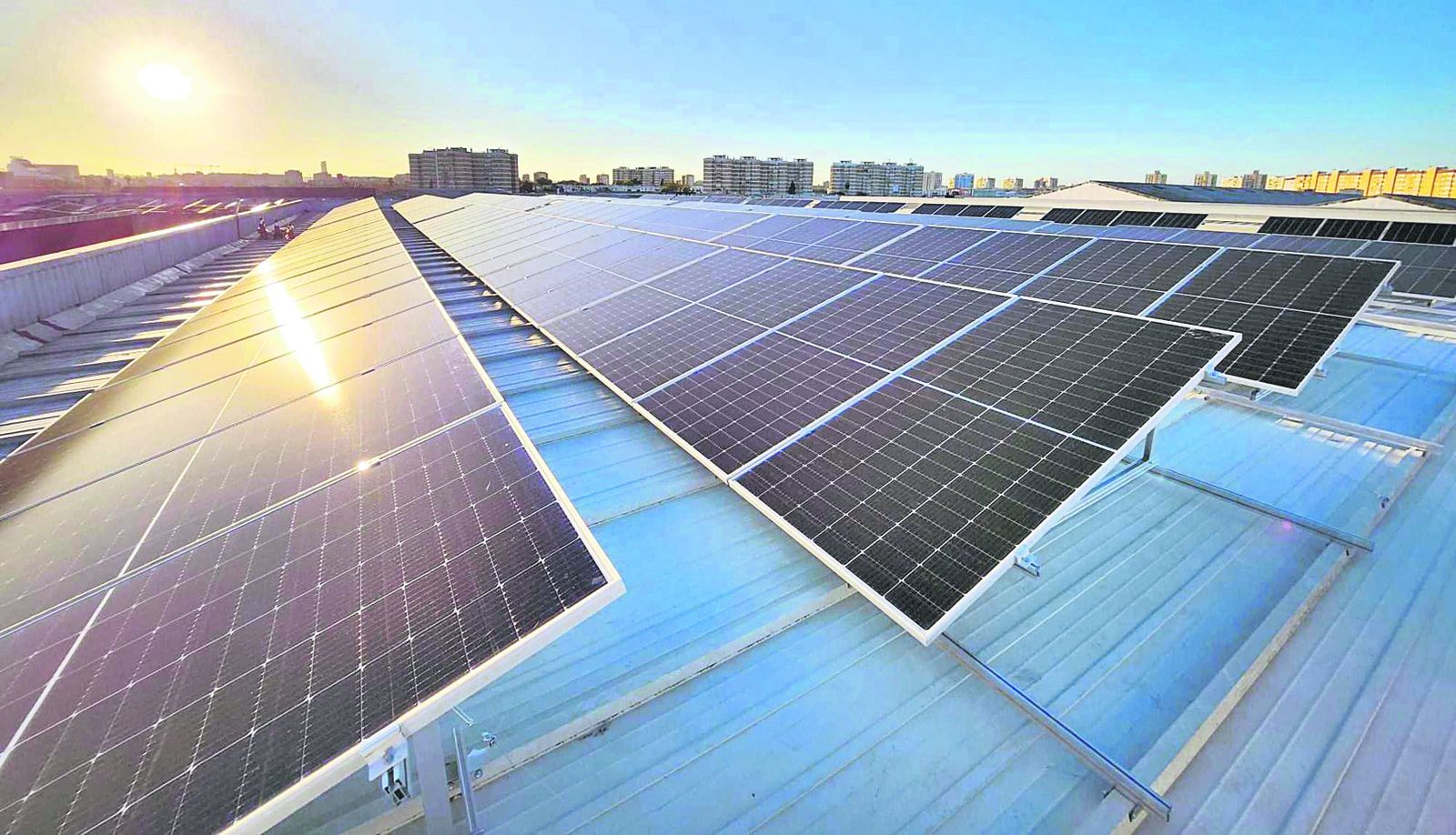 Social Energy® crece un 70% y se consolida como líder en energía sostenible en España