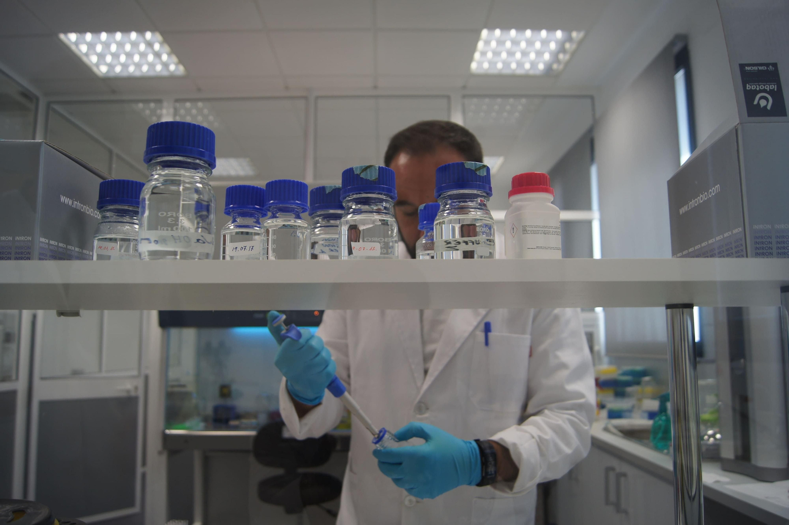 Labores en el laboratorio de Vetfitlabs.