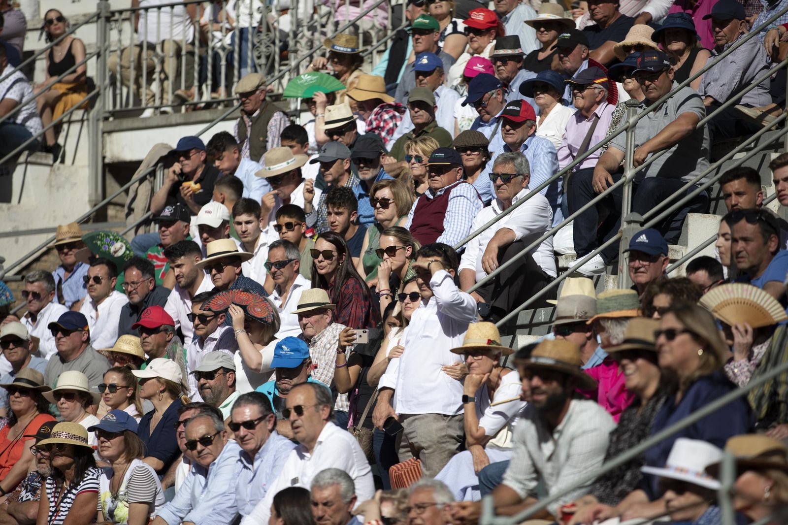 Las mejores imágenes del Festival Taurino en beneficio de Granadadown