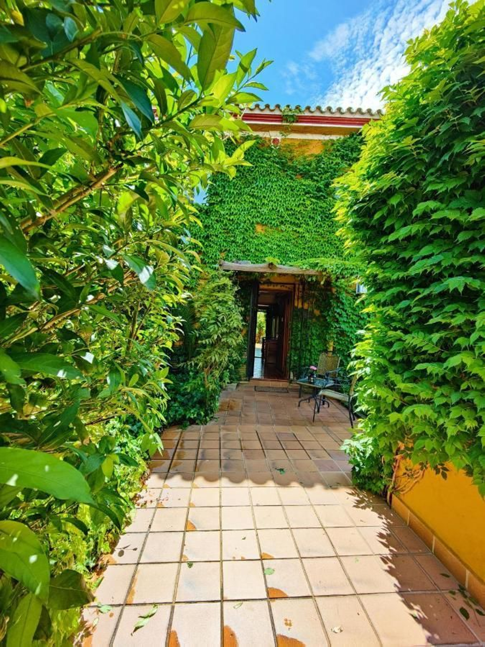 El hotel más tranquilo y naturalmente bonito lo encontrarás en Doñana