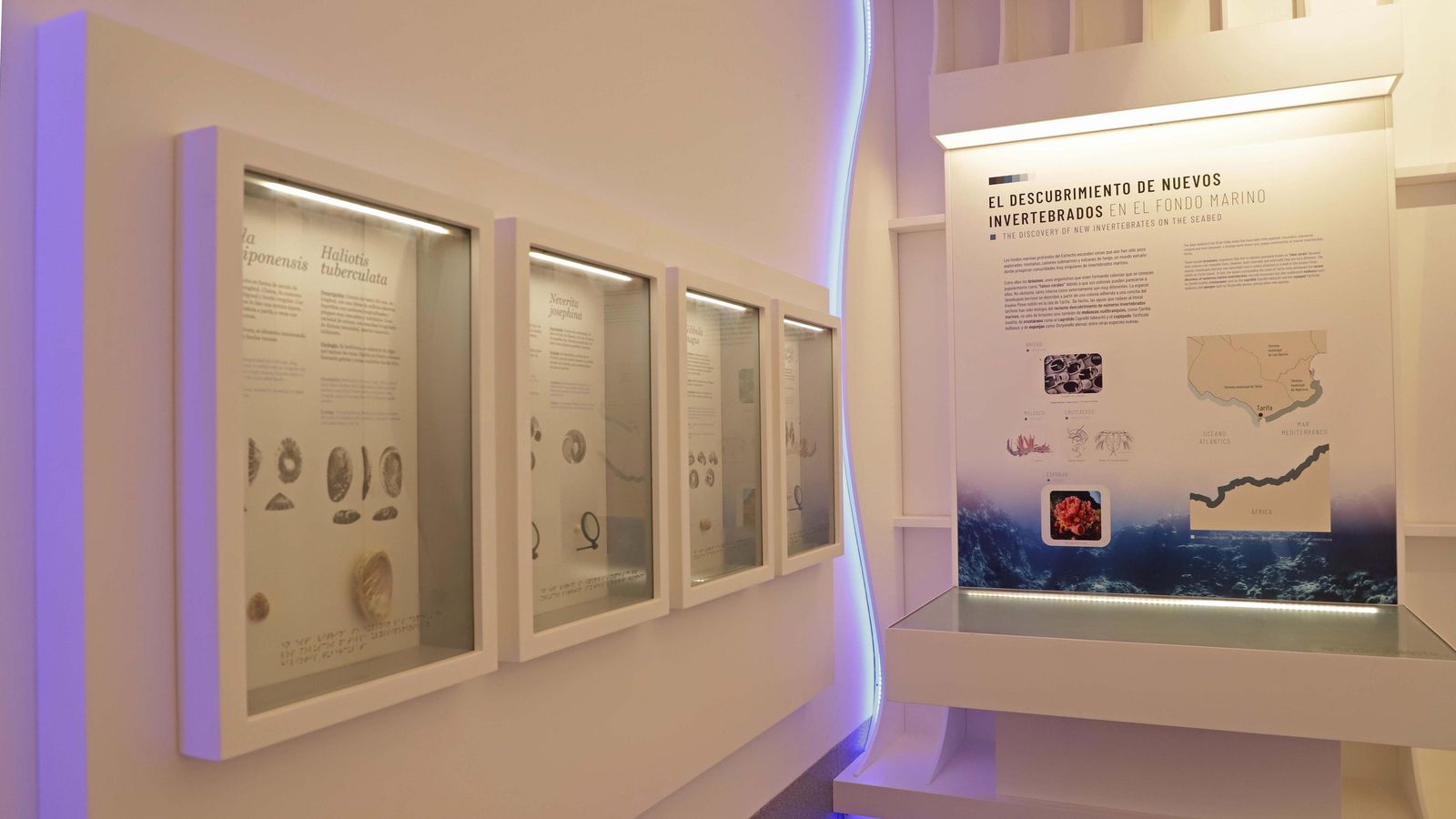 Paneles de la exposición "La Isla de Tarifa. Testigo de la historia del Estrecho". Paneles de la exposición "La Isla de Tarifa. Testigo de la historia del Estrecho".