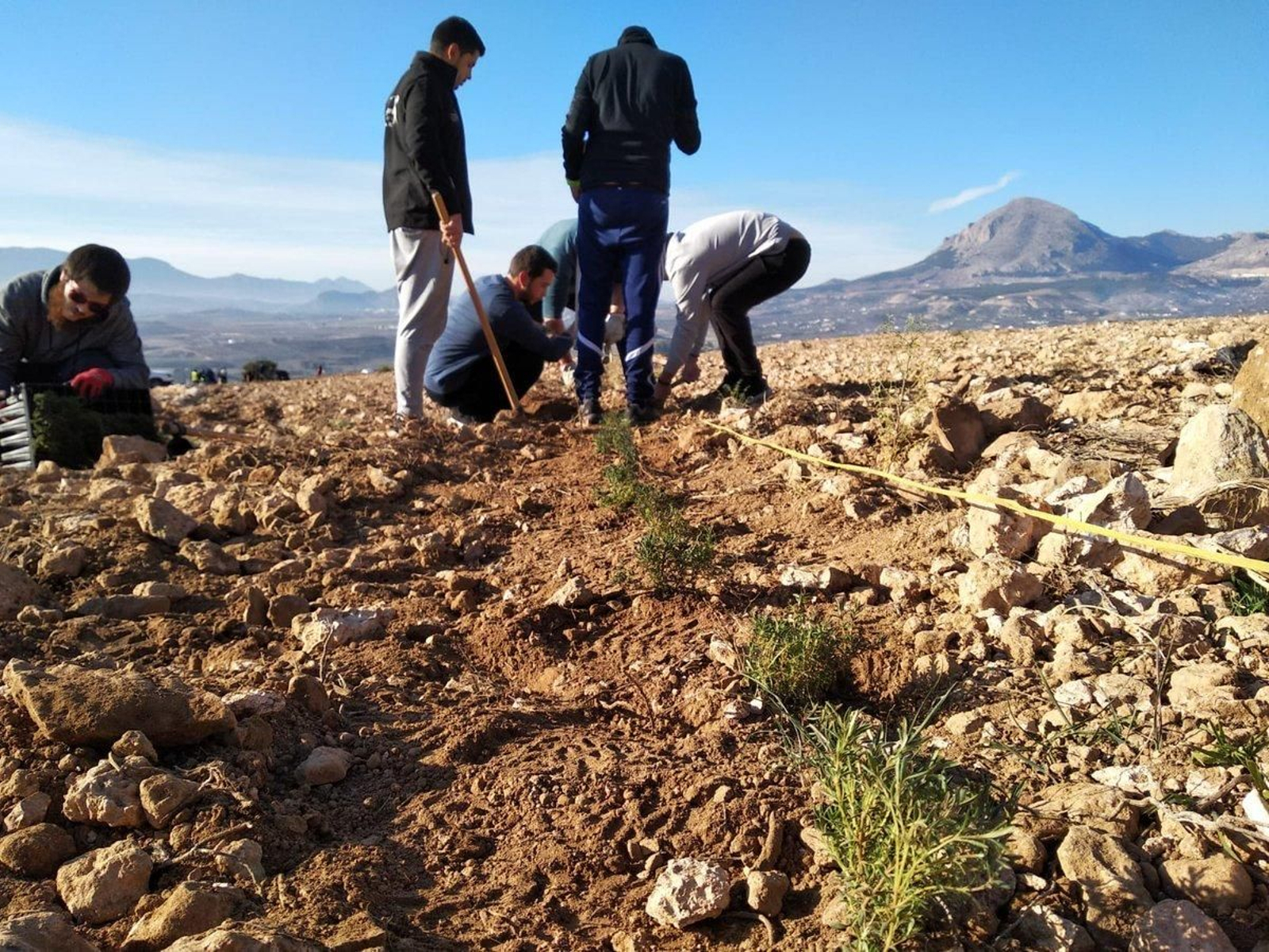 Estudiantes del IES José Marín han podido conocer y participar en el proyecto ‘AlVelAl 8000: Esculturas con Vida’.