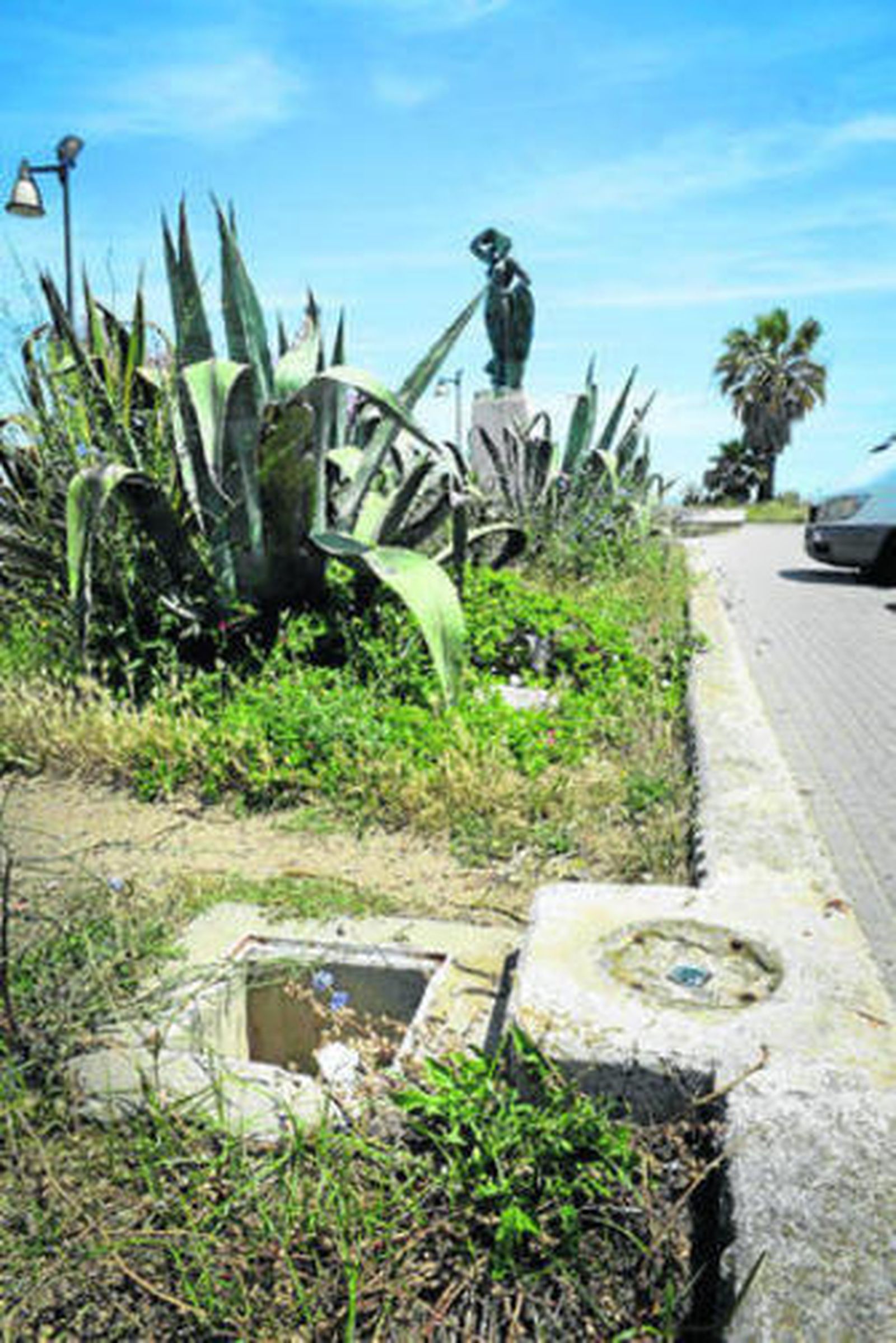 Los parterres del Paseo Pascuel Pery están en muy mal estado.