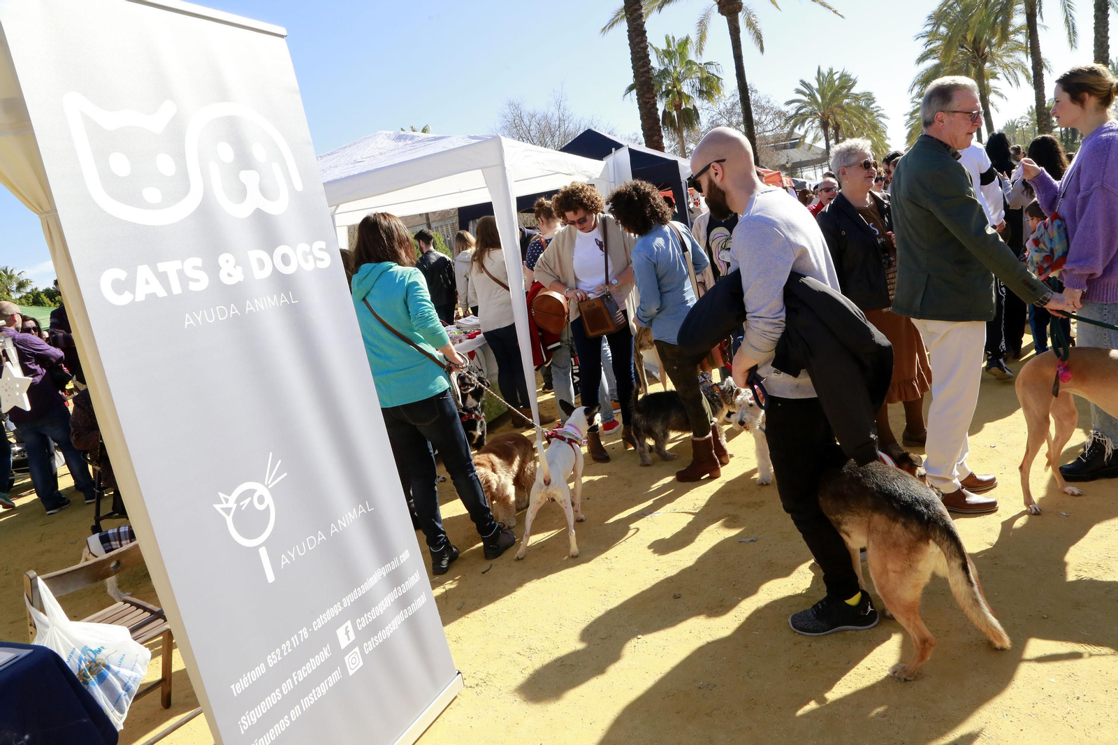 Imágenes de San Antón 2020 en Jerez