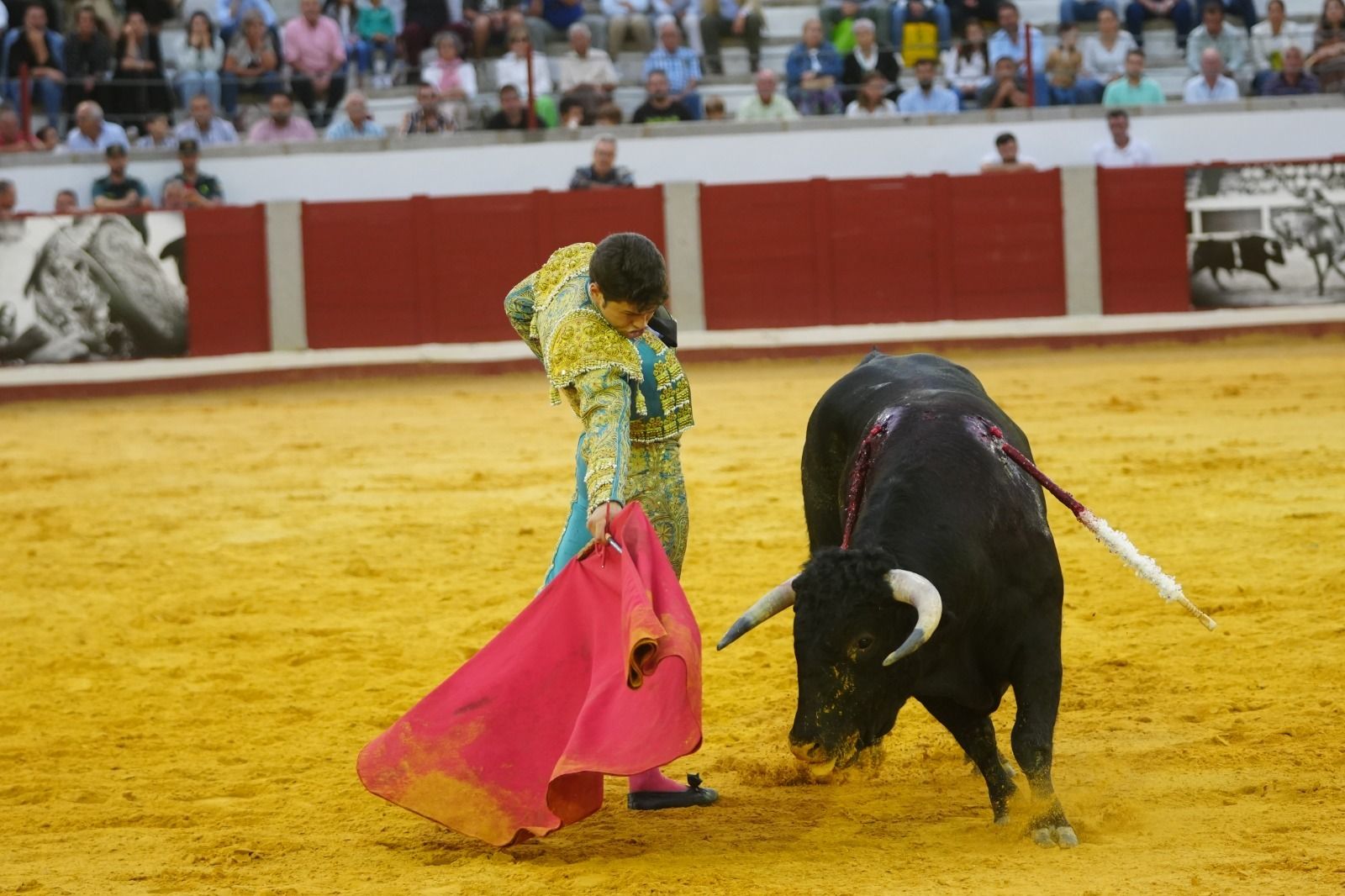 El mano a mano de los novilleros José Antonio de Gracia y El Candela en Pozoblanco, en imágenes