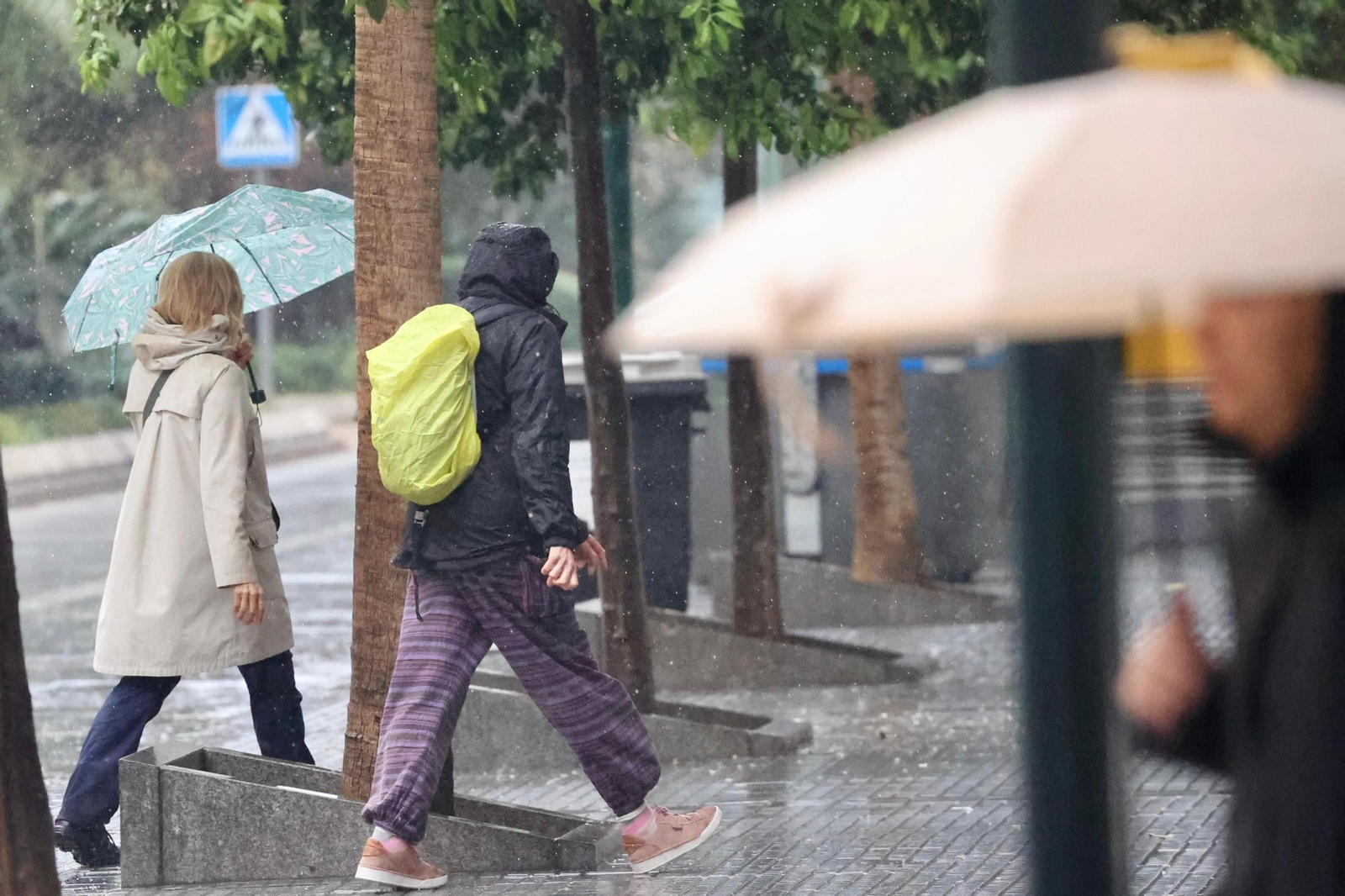Transeúntes se protegen de la lluvia en la capital.