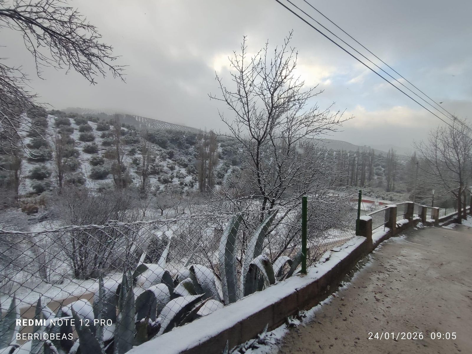 618810556_1440446924126546_2028401466593923126_n