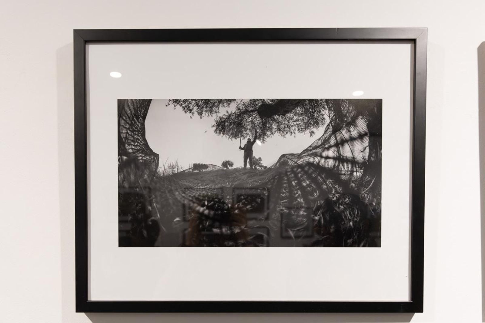 Exposición La Tierra, corazón de la vida, en imágenes