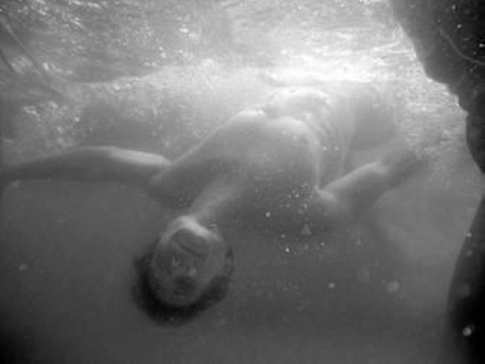 El trágico final de 'Tatarak'.