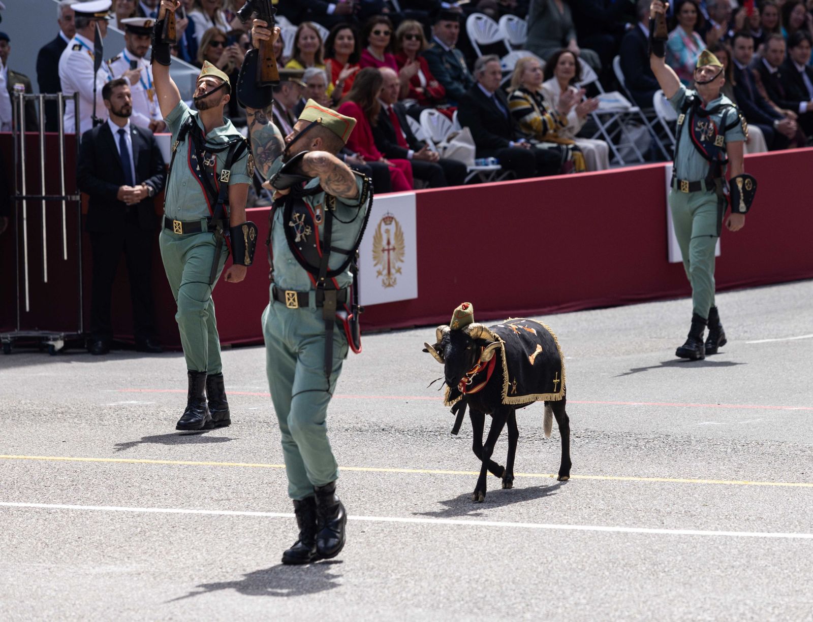 Las fotos del desfile militar en Oviedo con motivo del Día de las Fuerzas Armadas