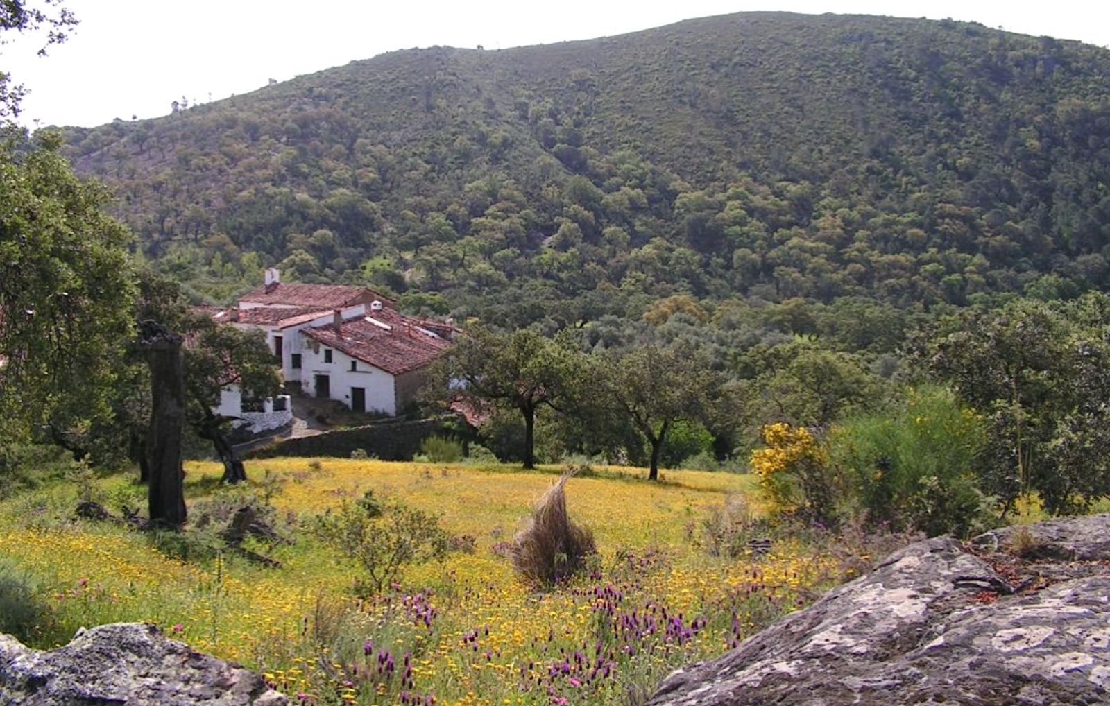 La naturaleza más pura del norte del sur