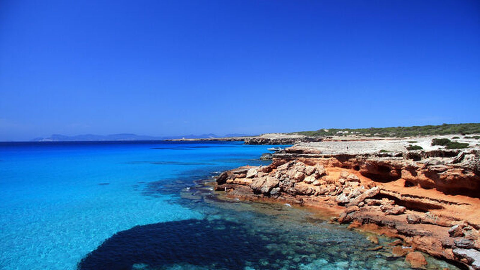 posidonia-mantener-ecosistema-oxigenacion-atractivo_1254785066_85930955_667x375