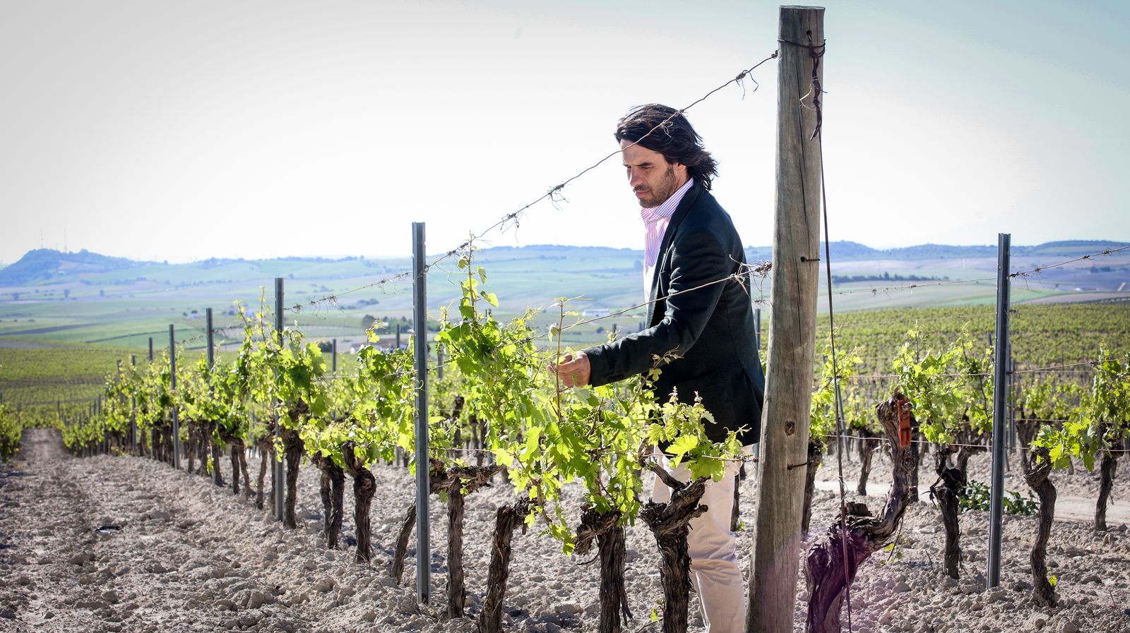 Santiago Jordi y los vinos de pasto de Patrick Murphy