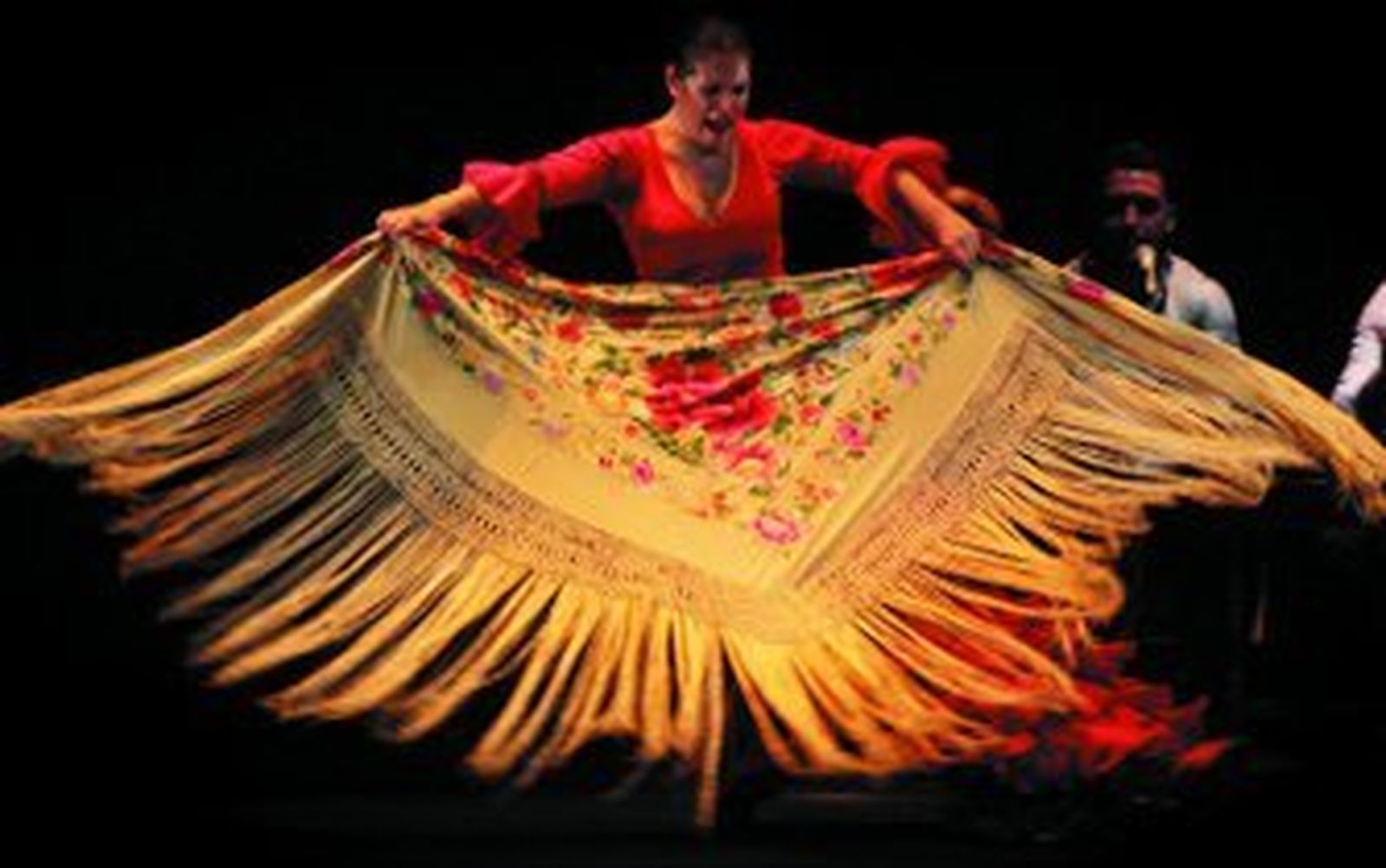 'Midnight' en Triana