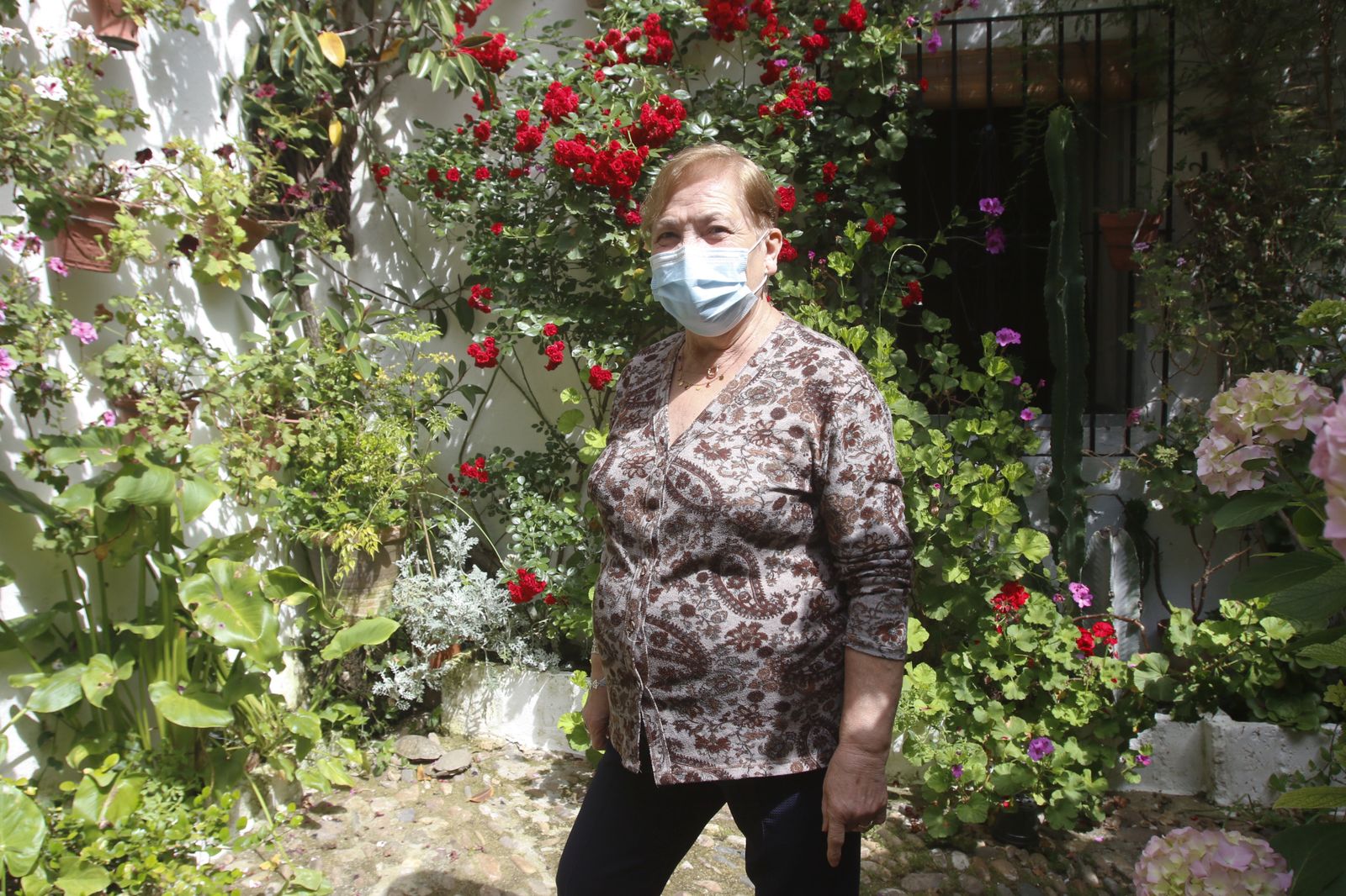 Los Patios de Córdoba en tiempos de crisis: Parras, 6