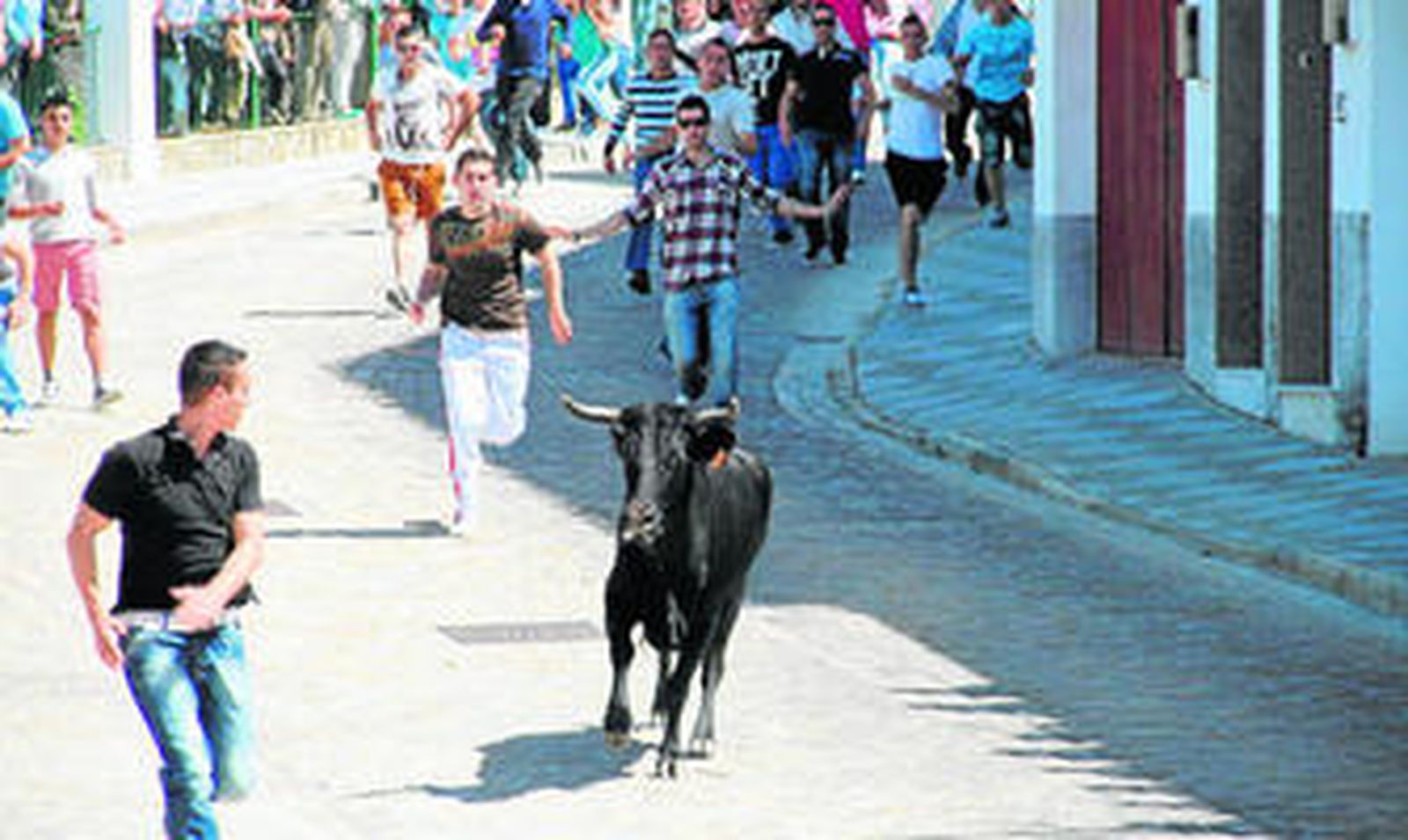 Una de las vaquillas soltadas ayer, en pleno recorrido por las calles de Alcalá.